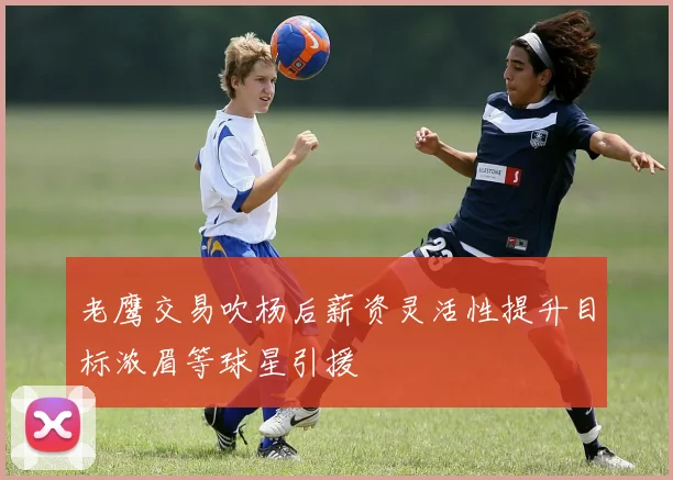 老鹰交易吹杨后薪资灵活性提升目标浓眉等球星引援