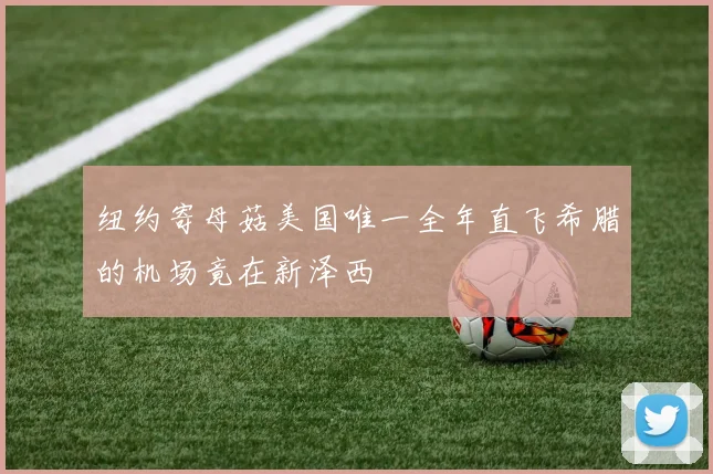 纽约寄母菇美国唯一全年直飞希腊的机场竟在新泽西