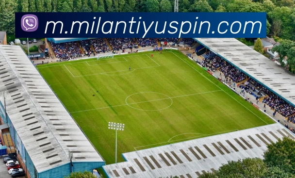 米兰体育APP 封面图